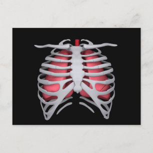 Conceptual Image of Human Lungs and Rib Cage 1 Postkarte