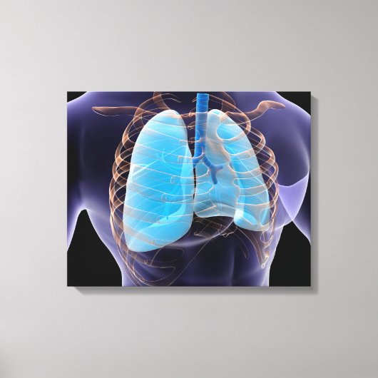 Conceptual Image of Human Lungs and Rib Cage 2 Leinwanddruck (Vorderseite)