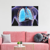Conceptual Image of Human Lungs and Rib Cage 2 Leinwanddruck (Insitu (Wohnzimmer))