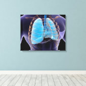 Conceptual Image of Human Lungs and Rib Cage 2 Leinwanddruck (Insitu (Holzboden))