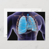 Conceptual Image of Human Lungs and Rib Cage 2 Postkarte (Vorne/Hinten)