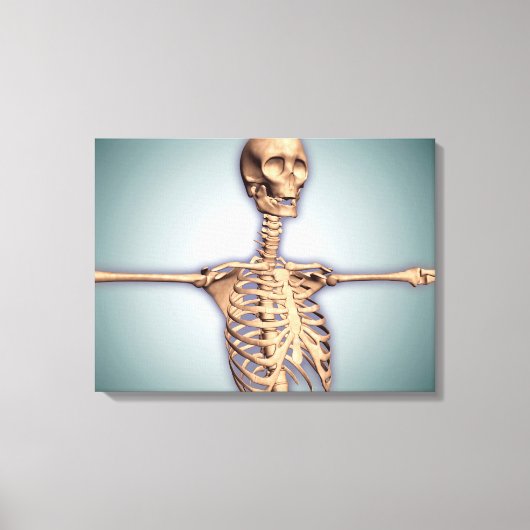 Conceptual Image of Human Rib Cage and Spinal Leinwanddruck (Vorderseite)