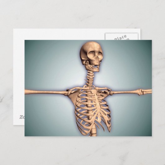 Conceptual Image of Human Rib Cage and Spinal Postkarte (Vorne/Hinten)