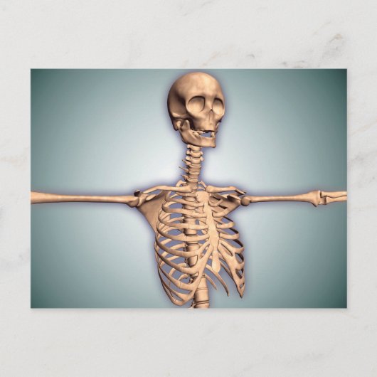Conceptual Image of Human Rib Cage and Spinal Postkarte (Vorderseite)