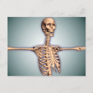 Conceptual Image of Human Rib Cage and Spinal Postkarte