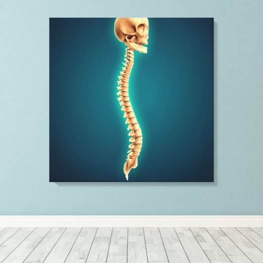 Conceptual Image of Human Skull & Spinal Cord 1 Leinwanddruck (Insitu (Holzboden))