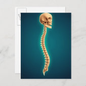 Conceptual Image of Human Skull & Spinal Cord 1 Postkarte (Vorne/Hinten)