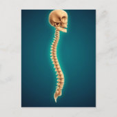 Conceptual Image of Human Skull & Spinal Cord 1 Postkarte (Vorderseite)