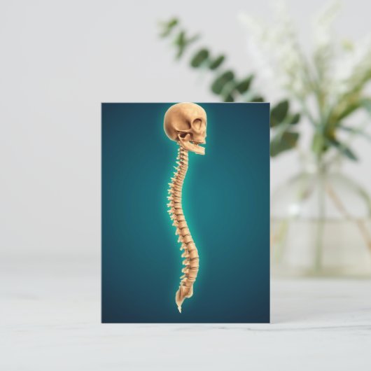 Conceptual Image of Human Skull & Spinal Cord 1 Postkarte (Stehend Vorderseite)