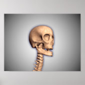 Conceptual Image of Human Skull & Spinal Cord 2 Poster (Vorne)