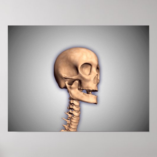 Conceptual Image of Human Skull & Spinal Cord 2 Poster (Vorne)