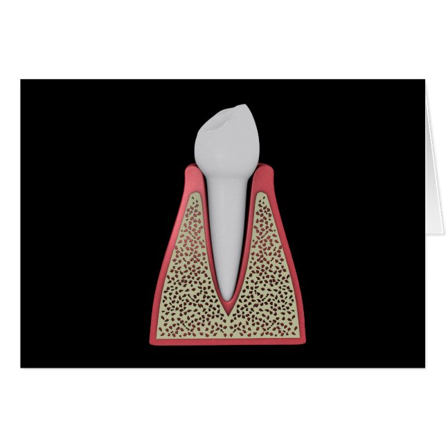 Conceptual Image of Human Tooth 1 (Vorderseite (Horizontal))