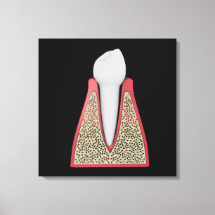 Conceptual Image of Human Tooth 1 Leinwanddruck