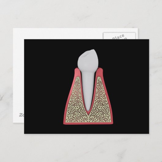 Conceptual Image of Human Tooth 1 Postkarte (Vorne/Hinten)