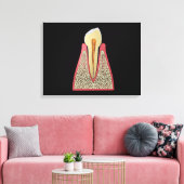 Conceptual Image of Human Tooth 2 Leinwanddruck (Insitu (Wohnzimmer))