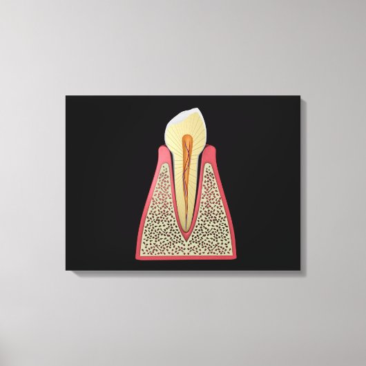 Conceptual Image of Human Tooth 2 Leinwanddruck (Vorderseite)