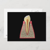 Conceptual Image of Human Tooth 2 Postkarte (Vorne/Hinten)