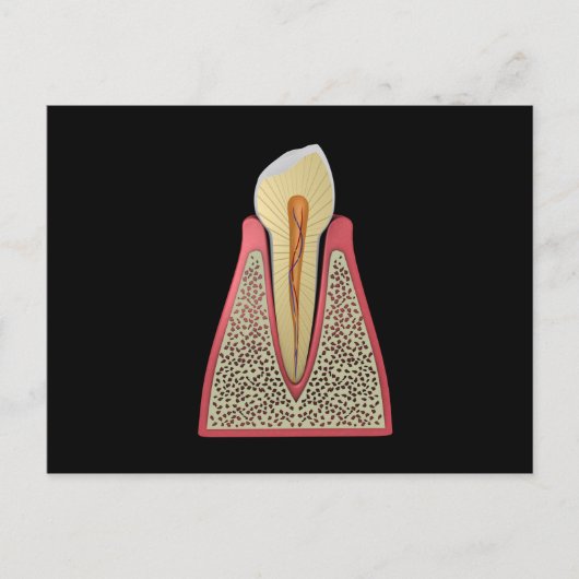 Conceptual Image of Human Tooth 2 Postkarte (Vorderseite)