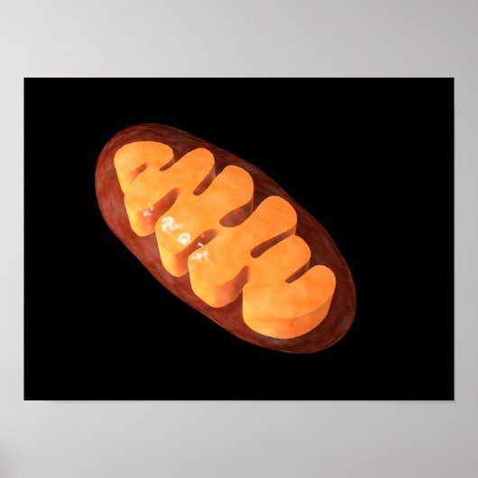 Conceptual Image of Mitochondria 1 Poster (Vorne)