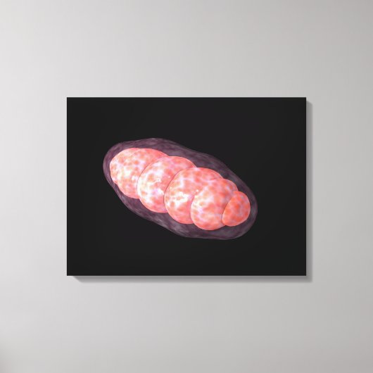 Conceptual Image of Mitochondria 2 Leinwanddruck (Vorderseite)