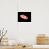 Conceptual Image Of Mitochondria 2 Poster (Küche)