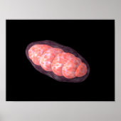 Conceptual Image Of Mitochondria 2 Poster (Vorne)