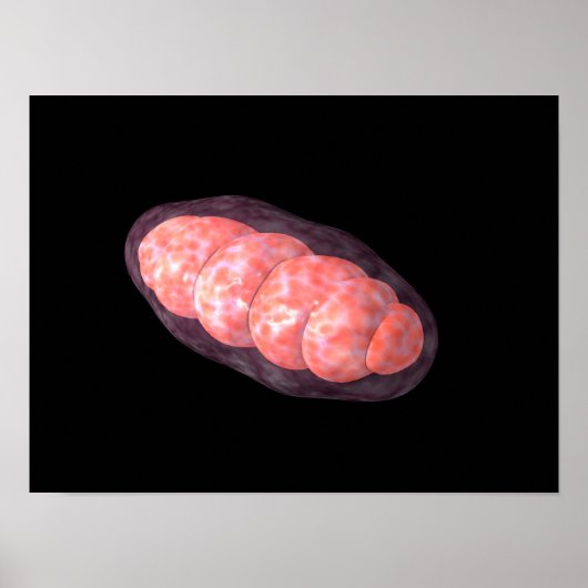 Conceptual Image Of Mitochondria 2 Poster (Vorne)