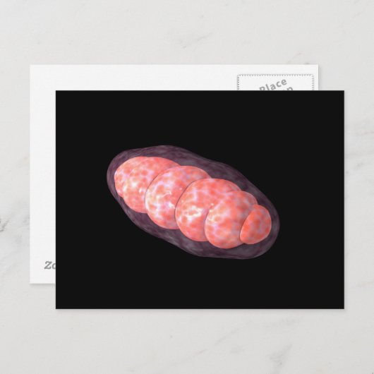 Conceptual Image of Mitochondria 2 Postkarte (Vorne/Hinten)