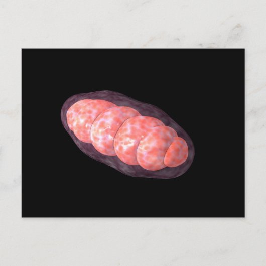Conceptual Image of Mitochondria 2 Postkarte (Vorderseite)
