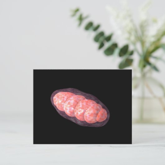 Conceptual Image of Mitochondria 2 Postkarte (Stehend Vorderseite)