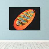 Conceptual Image of Mitochondria 3 Leinwanddruck (Insitu (Holzboden))