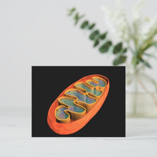 Conceptual Image of Mitochondria 3 Postkarte (Stehend Vorderseite)