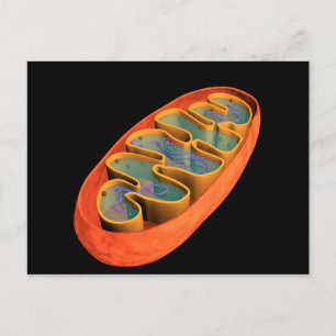 Conceptual Image of Mitochondria 3 Postkarte