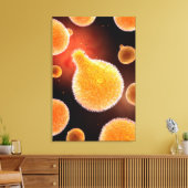 Conceptual Image of Plasmodium causing Malaria 3 Leinwanddruck (Insitu (Wohnzimmer))