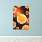 Conceptual Image of Plasmodium causing Malaria 3 Leinwanddruck (Insitu (Holzboden))