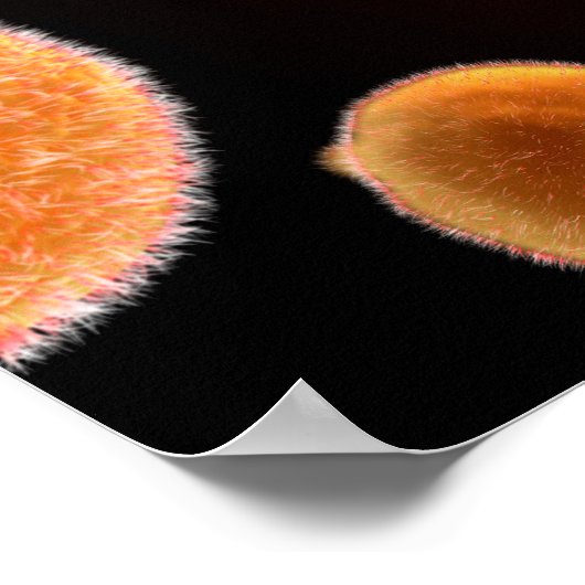 Conceptual Image of Plasmodium causing Malaria 3 Poster (Ecke)