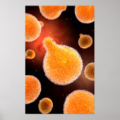 Conceptual Image of Plasmodium causing Malaria 3 Poster (Vorne)