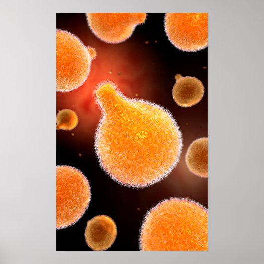Conceptual Image of Plasmodium causing Malaria 3 Poster (Vorne)