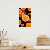 Conceptual Image of Plasmodium causing Malaria 3 Poster (Küche)