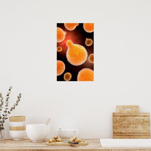 Conceptual Image of Plasmodium causing Malaria 3 Poster (Küche)