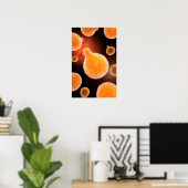 Conceptual Image of Plasmodium causing Malaria 3 Poster (Heimbüro)