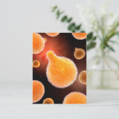 Conceptual Image of Plasmodium causing Malaria 3 Postkarte (Stehend Vorderseite)