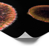 Conceptual Image of Plasmodium causing Malaria 4 Poster (Ecke)