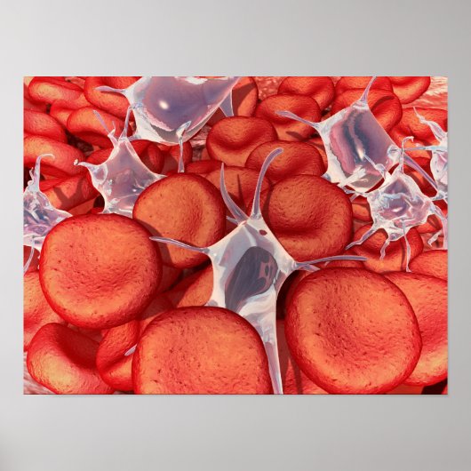 Conceptual Image of Red Blood Cells 2 Poster (Vorne)
