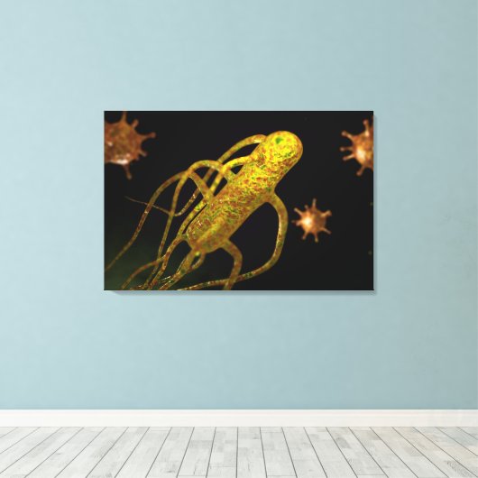 Conceptual Image of Salmonella Typhi 1 Leinwanddruck (Insitu (Holzboden))