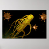 Conceptual Image of Salmonella Typhi 1 Poster (Vorne)