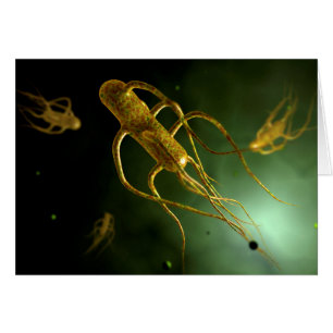 Conceptual Image of Salmonella Typhi 2