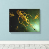 Conceptual Image of Salmonella Typhi 2 Leinwanddruck (Insitu (Holzboden))