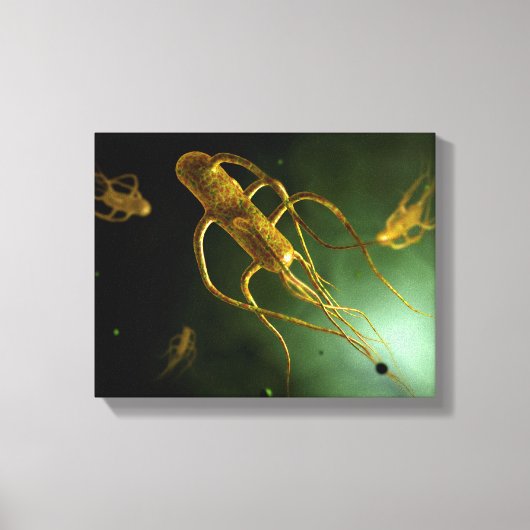 Conceptual Image of Salmonella Typhi 2 Leinwanddruck (Vorderseite)