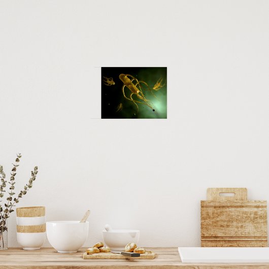 Conceptual Image of Salmonella Typhi 2 Poster (Küche)